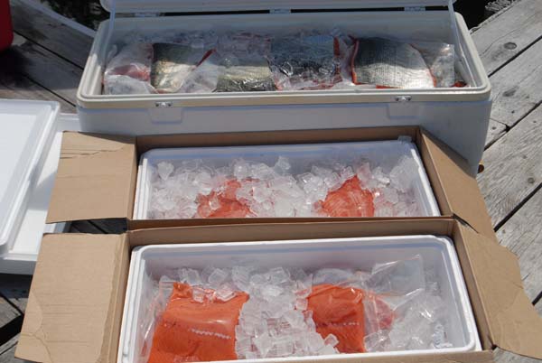 11coolers1