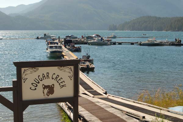 17cougarck2