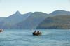 nootka