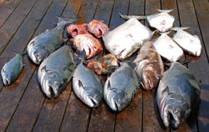 45 lb. Chinook, caught on August 12, 2003